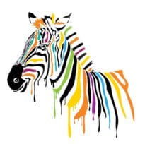 Zebra-Image-e1488388806196