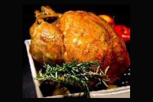 turkey (1)