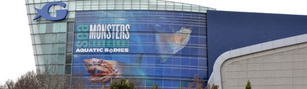 GCI_window-graphics