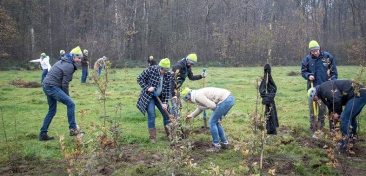 beMatrix planting trees