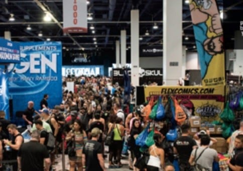 Fans at the 2019 show
