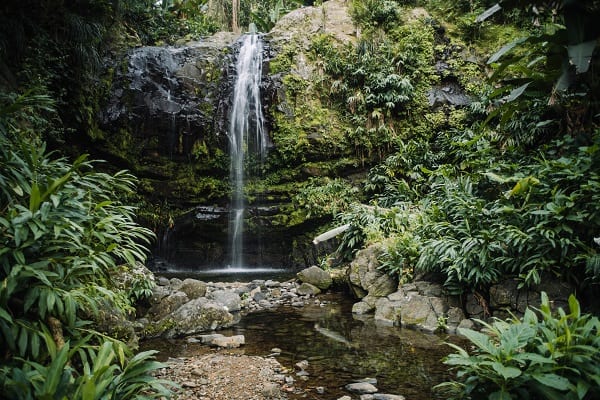 Las Delicias Falls in Ciales