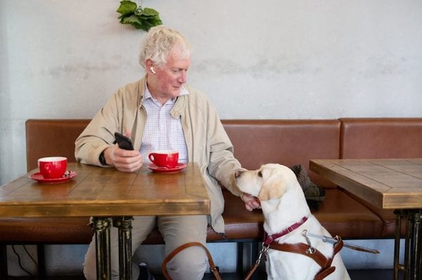 guide dog