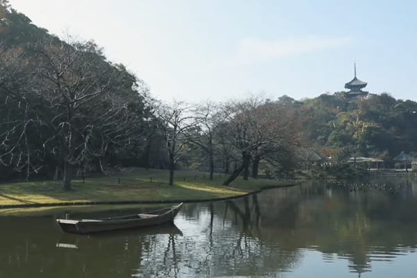 japan video