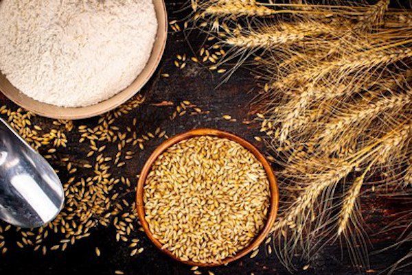 italmopa flour